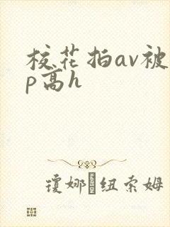 校花拍av被np高h