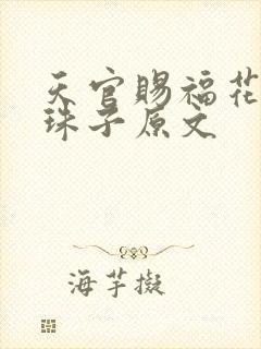 天官赐福花怜塞珠子原文