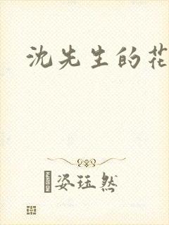 沈先生的花式