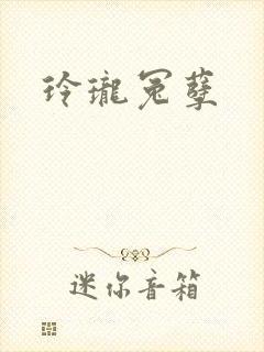 玲珑冤孽