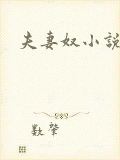 夫妻奴小说