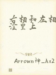 右相和左相一起淦皇上