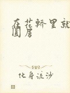 在花轿里就开始圆房
