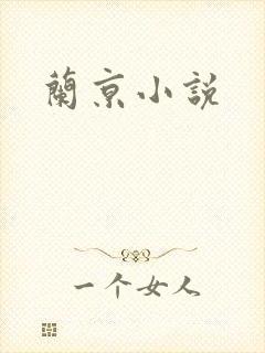 兰京小说