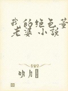 我的绝色董事长老婆 小说