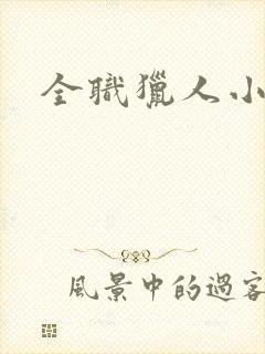 全职猎人小说