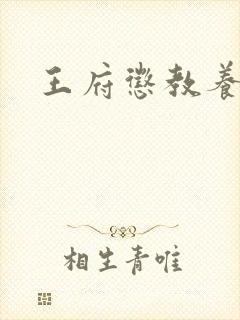 王府惩教养日常