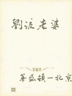 刘流老婆
