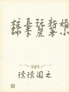 校长玩新婚女教师李丽华小说