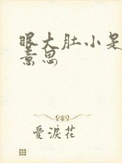 眼大肚小是什么意思封面