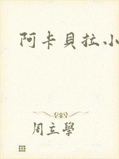 阿卡贝拉小说