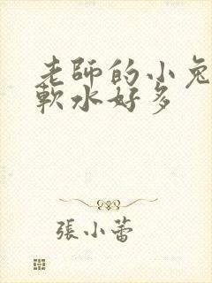老师的小兔子好软水好多