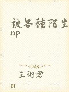 被各种陌生人 np