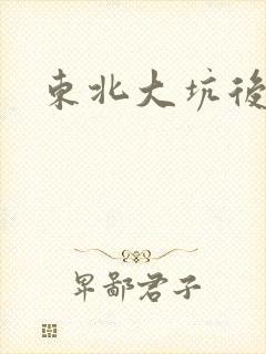 东北大坑后续2