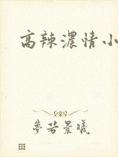 高辣浓情小说封面