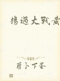 杨过大战黄蓉
