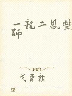 一龙二凤双飞老师
