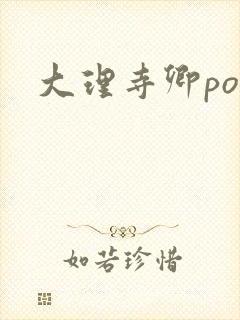 大理寺卿po