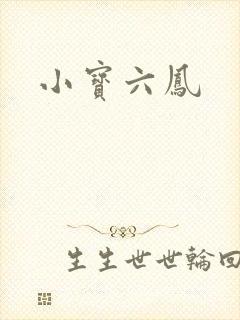 小宝六凤