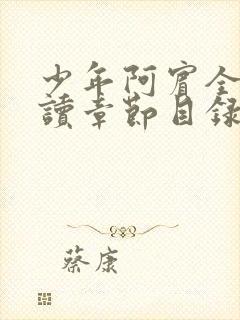 少年阿宾全文阅读章节目录封面