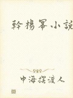 干杨幂小说