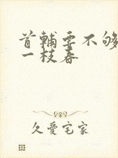 首辅要不够po一枝春