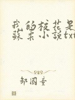 我的校花是福姬苏柔小说txt
