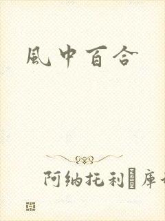 风中百合封面