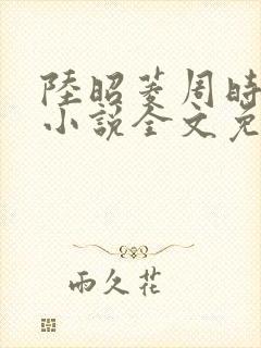 陆昭菱周时阅的小说全文免费阅读封面
