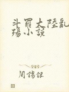 斗罗大陆乱世浮殇小说封面