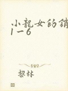 小龙女的销魂夜1一6封面