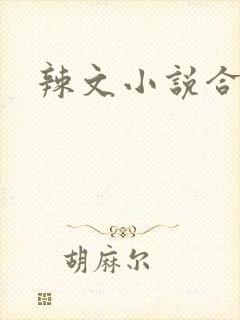 辣文小说合集封面