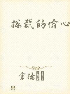 总裁的偷心娇妻
