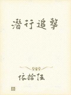 潜行追击