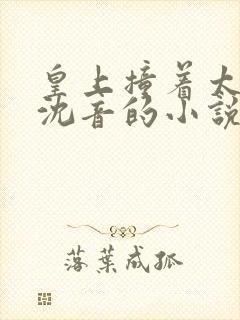 皇上撞着太子妃沈音的小说叫什么