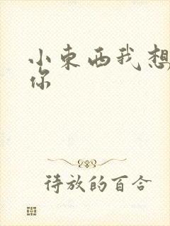 小东西我想弄坏你