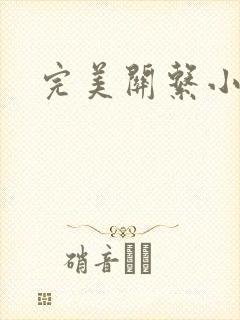 完美关系小说