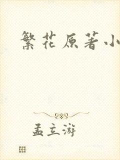 繁花原著小说