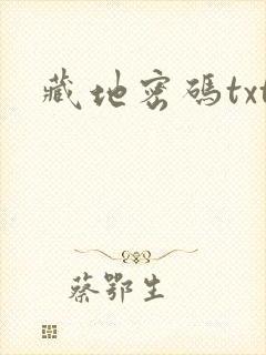 藏地密码txt