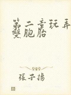 第二章玩弄少妇双胞胎封面