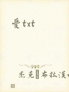 爱txt封面