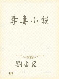 夺妻小说
