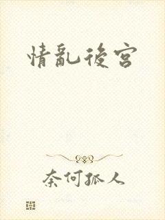 情乱后宫封面