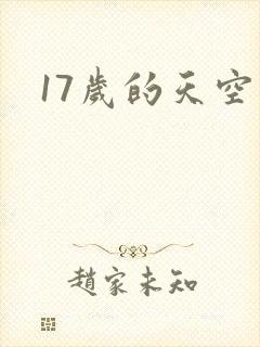 17岁的天空