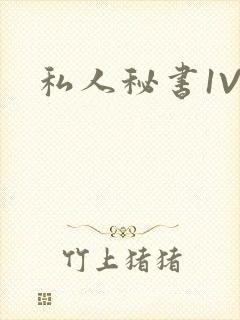 私人秘书1V1
