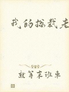 我的总裁老妈