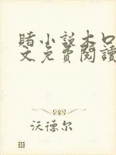 赌小说木口银全文免费阅读笔趣阁