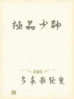 极品少帅