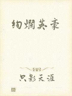 绚烂英豪封面