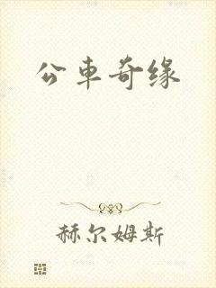 公车奇缘封面